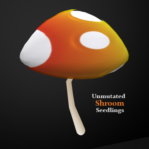 Random Papillon Shroom Seedling Non-Mutated
