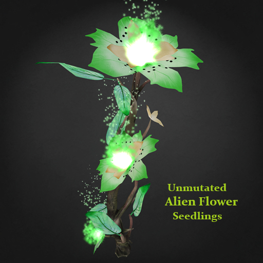 Random Papillon Alien Flower Seedlings Non-Mutated