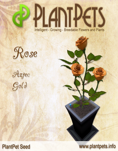 PlantPet Seed [Rose *Aztec Gold*]