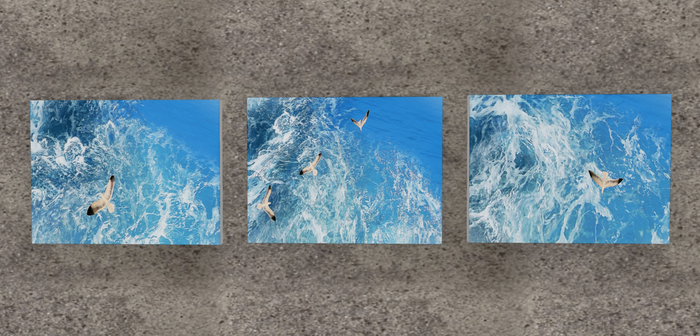 Sea Gulls by Lotus Li - 3 panel piece