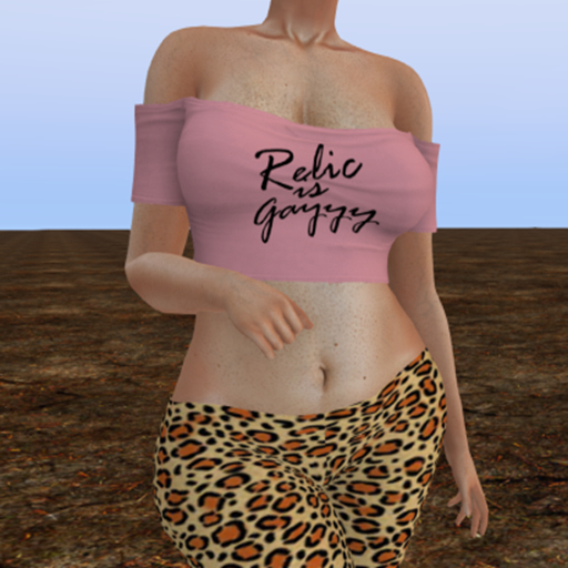 Relic Is Gayyyyy Shoulder Crop Top