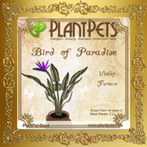PlantPet Seed [Bird of Paradise *Violet Turaco*]