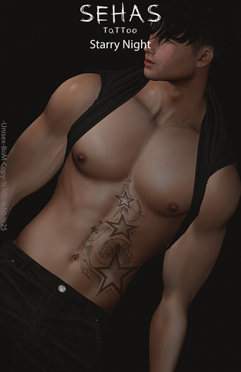 ::SEHAS::TaTToo Starry Night