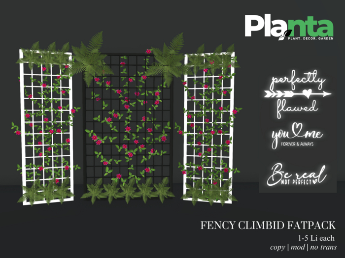Planta - Fency Climbid Fatpack