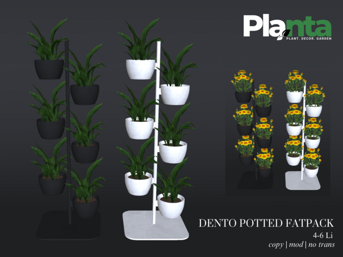 Planta - Dento Potted Fatpack