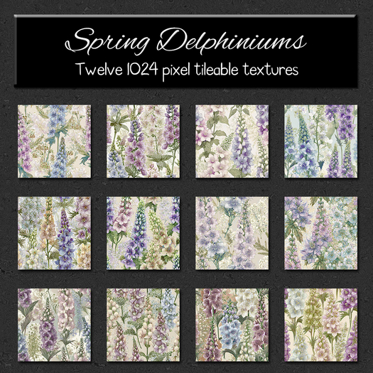 *Wallflowers* Spring Delphiniums