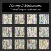 *Wallflowers* Spring Delphiniums