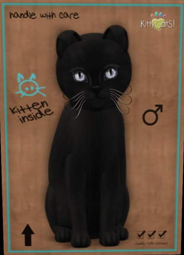 KittyCatS Box - russian black male ice crystal New Born Kitten