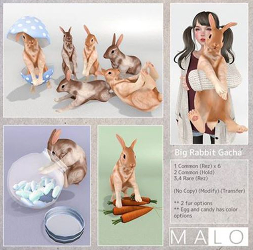[MALO] Big Rabbit - Rolled up