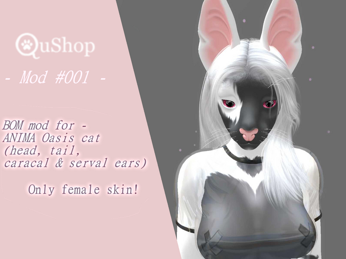 QuShop - Oasis Cat - mod#001 [gift]