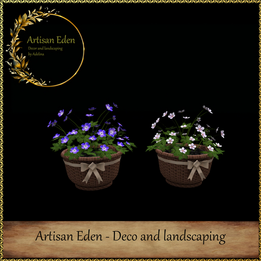 Potted plants -  Geranium planters 