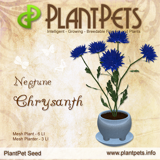 PlantPet Seed [Chrysanth *Neptune*]