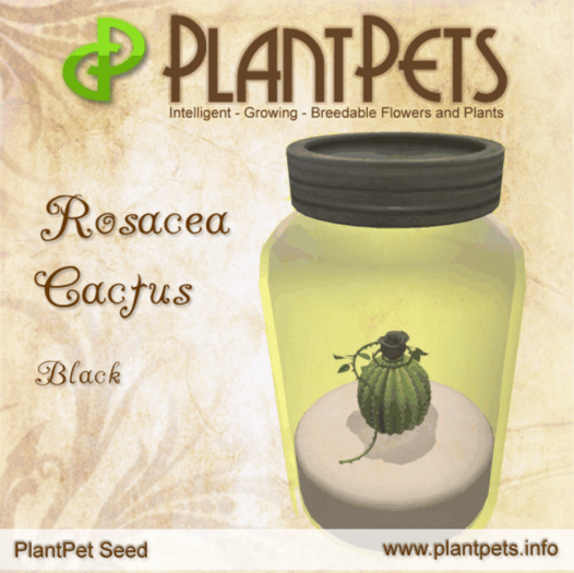 PlantPet Seed [Rosacea Cactus *Black*]