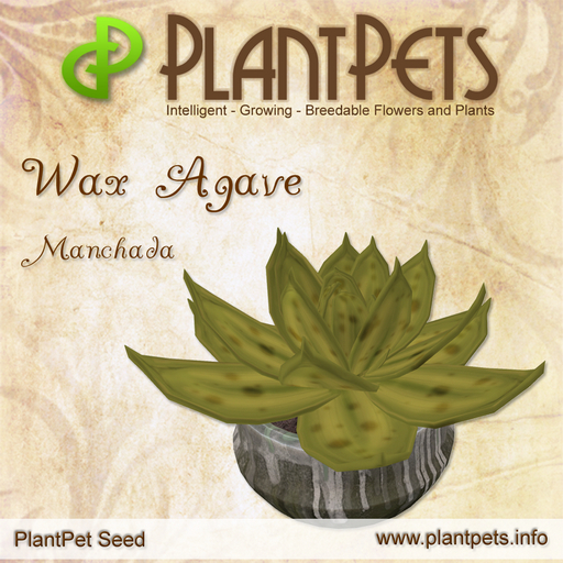 PlantPet Seed [Wax Agave *Manchada*]