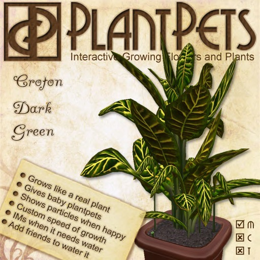 PlantPet Seed [Croton *Dark Green*]
