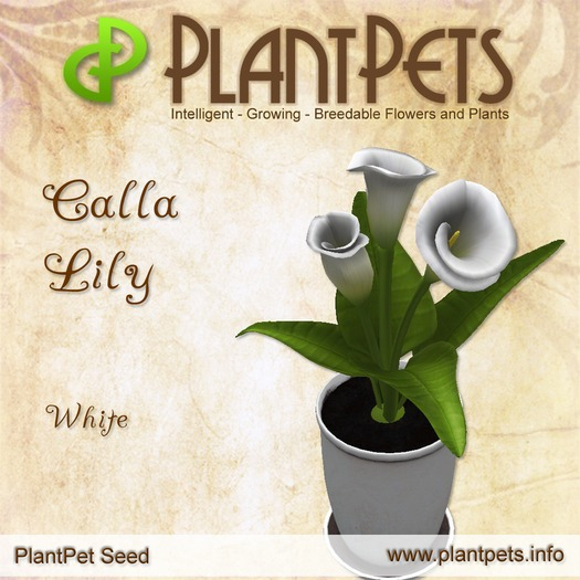 PlantPet Seed [Calla Lily *White*]