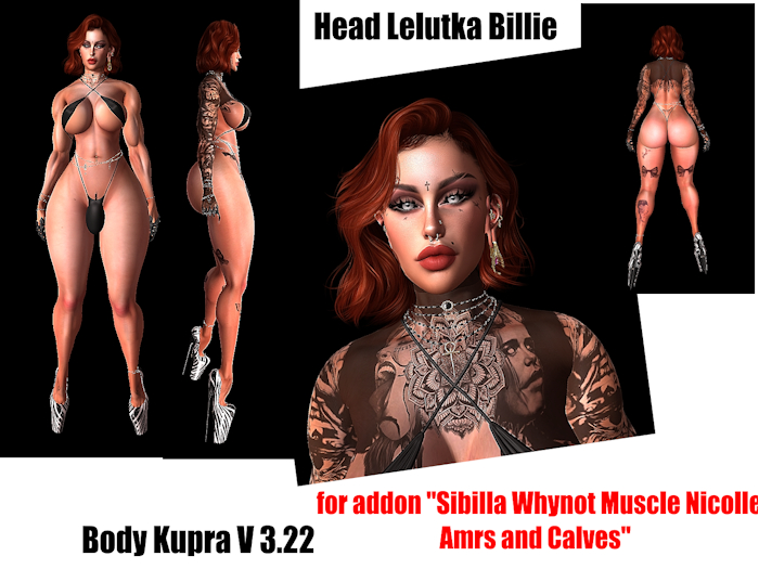 @dotcom Shape for Kupra ORIGINAL V3.22