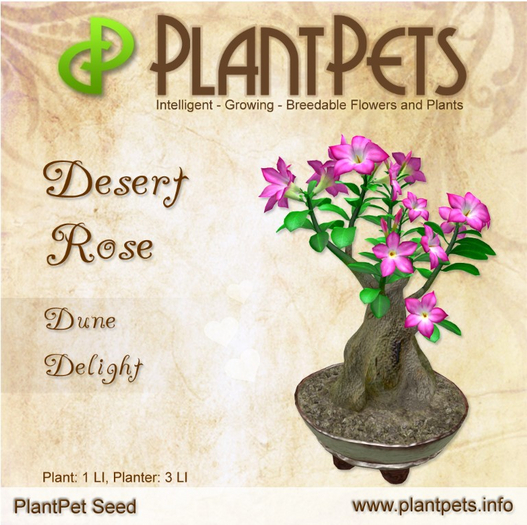 PlantPet Seed [Desert Rose *Dune Delight*]