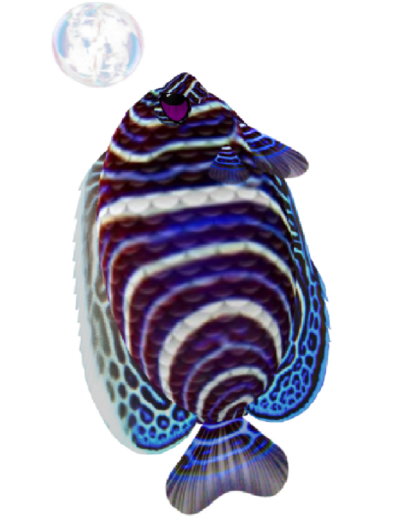 (7S) Common Fish: Blue Juv Emperor