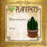 PlantPet Seed [Discocactus *White*]