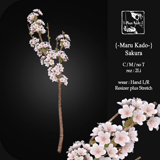 {-Maru Kado-} Sakura