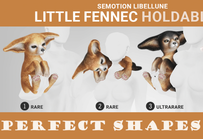 SEmotion Libellune Little Fennec Holdable RARE 02
