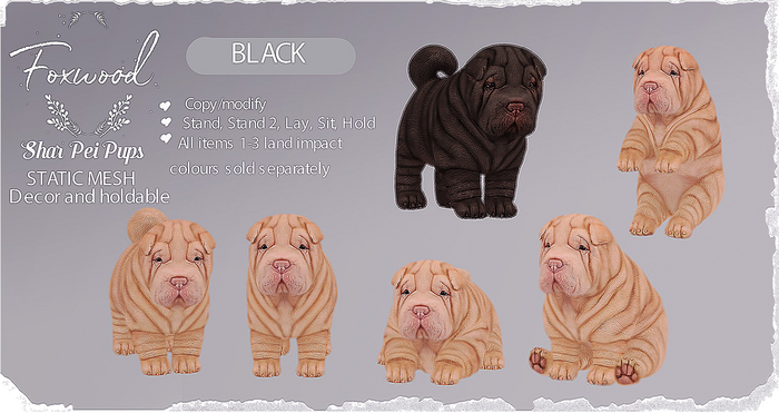 Foxwood - Shar Pei Pup - Black