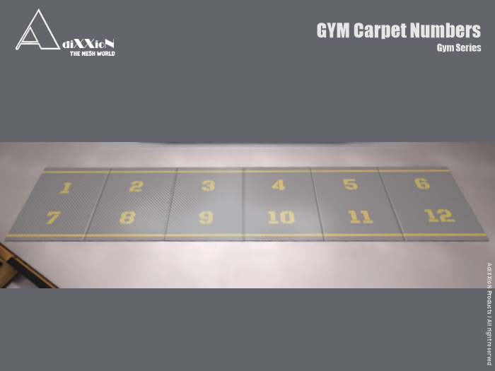 Gym Carpet Numbers / PG