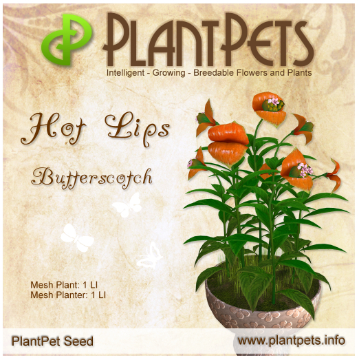 PlantPet Seed [Hot Lips *Butterscotch*]Common