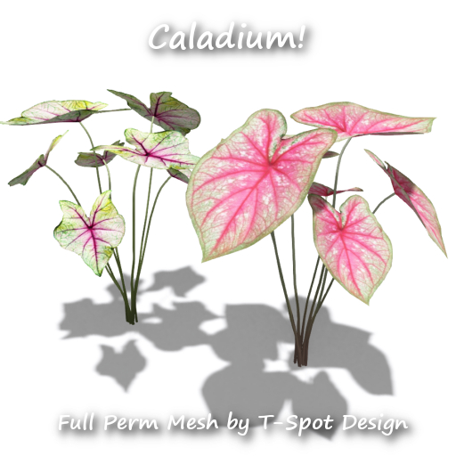 T-Spot Mesh - Caladium - FP - LI=0.5