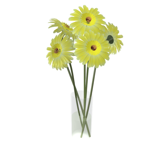 yellow flowers