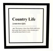 S&B - Country Life Framed Wallhanging