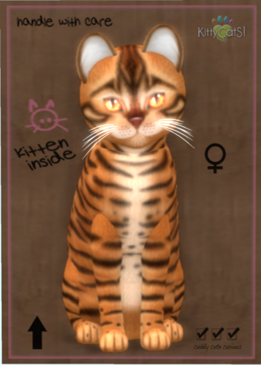 KittyCatS Box - Toyger - Caramel