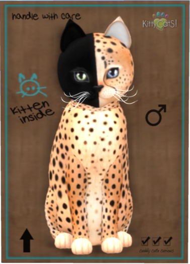 KittyCatS Box - Chimera - Spotted Flame