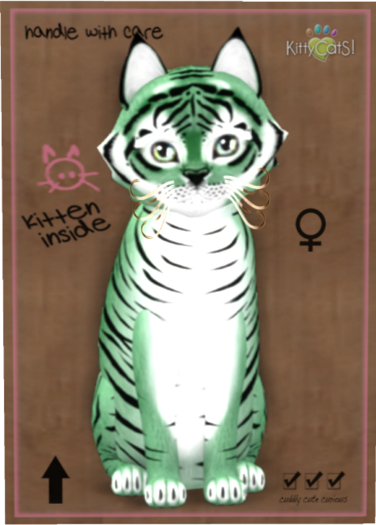 KittyCatS Box - Tiger! - Dusky Green