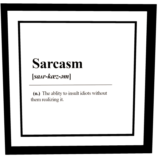S&B - Sarcasm Framed Wallhanging