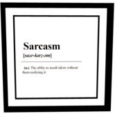 S&B - Sarcasm Framed Wallhanging
