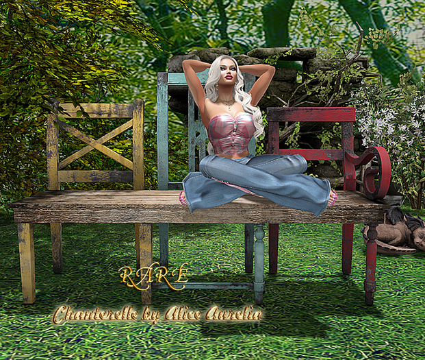 2.DD Autumn Bench PG-RARE