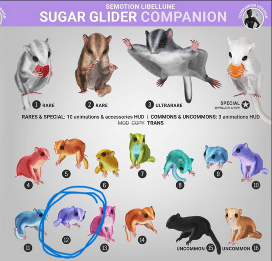 12 SEmotion Libellune Sugar Glider Companion COMMON 12