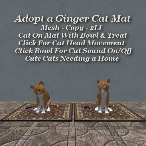 Adopt a Cat Mat G