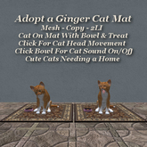 Adopt a Cat Mat G