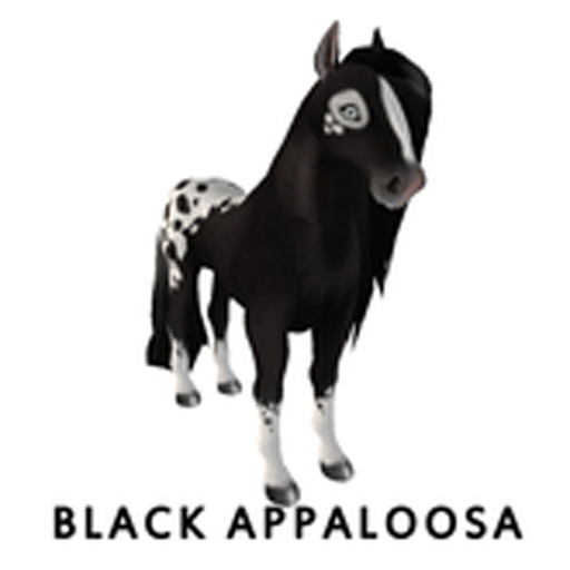 Black Appaloosa Version 1.3
