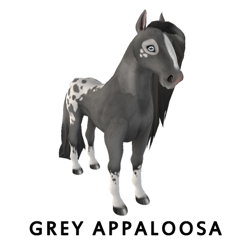 Grey Appaloosa Version 1.3