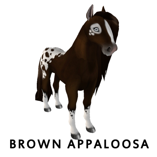 Brown Appaloosa Version 1.3