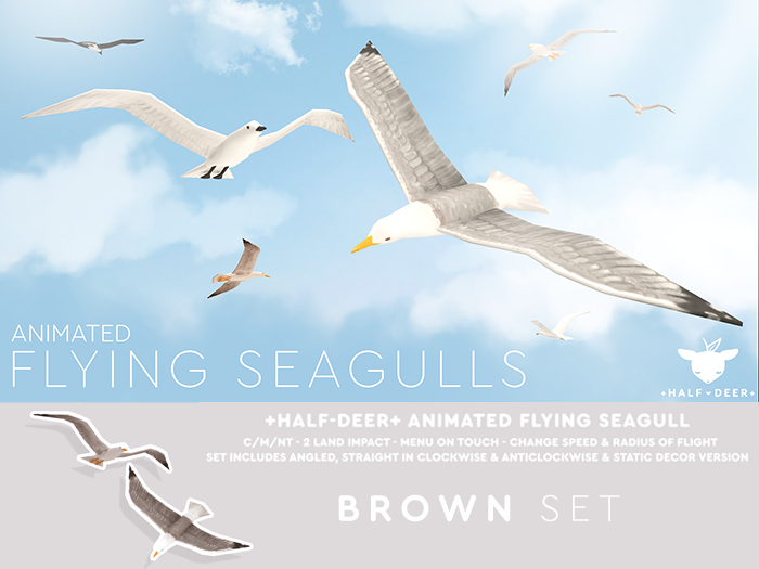 +Half-Deer+ Flying Seagull [Brown Set]