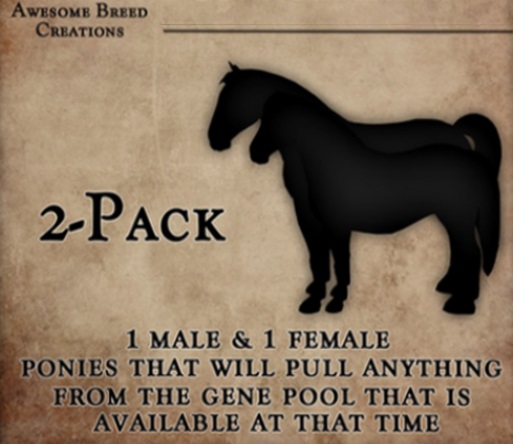 ABC Pony Starter Pair [BOX]