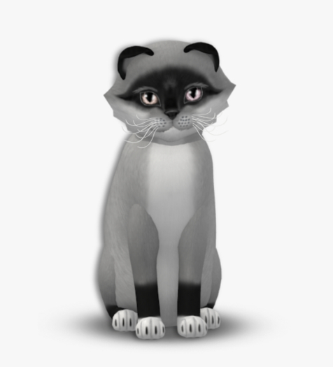 KittyCatS Box - 8T Foxie - Salt & Pepper Mask