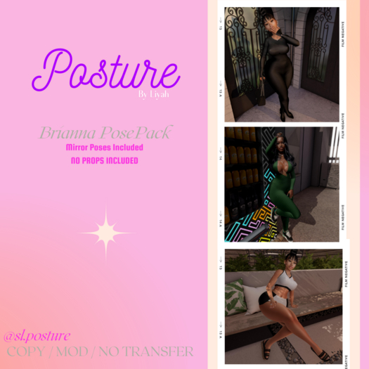 Posture- Brianna PosePack