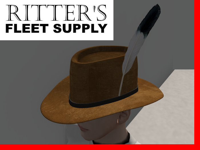 Brimmed hat 709 - brown w/ feather