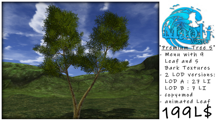 =MW= Premium Tree 5 (Box)